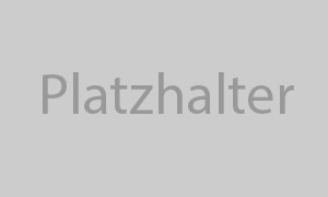 Platzhalter Einrichtung