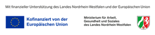 BSA Logo